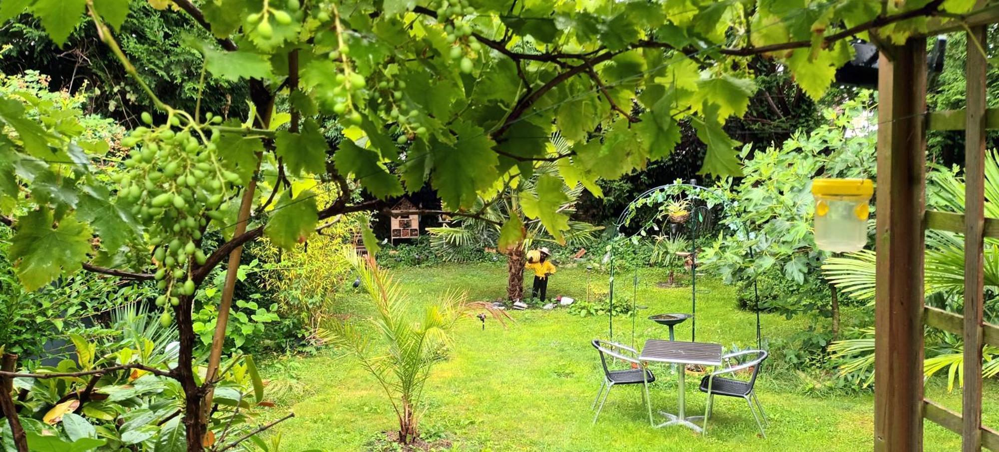 Gite Du Jardin Secret Saint-Valéry-sur-Somme Esterno foto